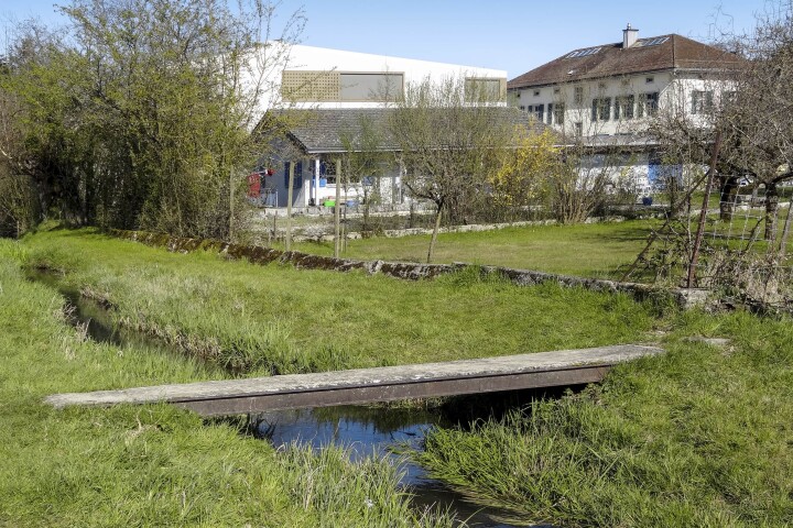 bsb gewaesserunterhalt kestenholz 04