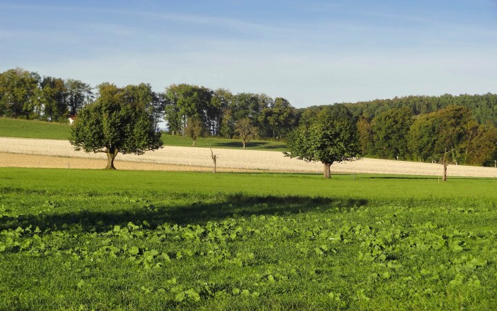 bsb vernetzungsprojekt leimental 01