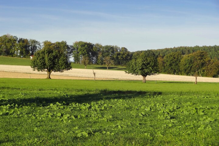 bsb vernetzungsprojekt leimental 01