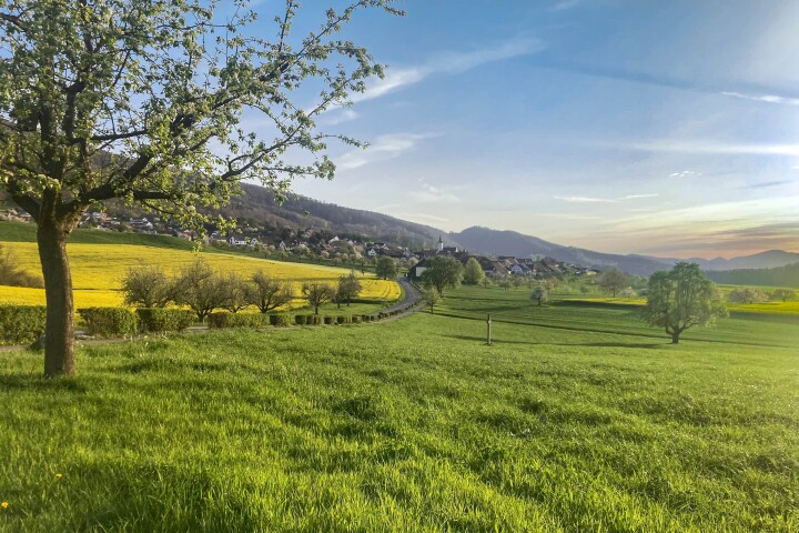 bsb vernetzungsprojekt leimental 02