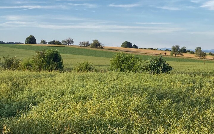 bsb vernetzungsprojekt leimental 03