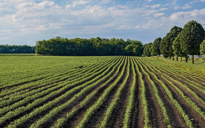 bsb vernetzungsprojekt leimental 04