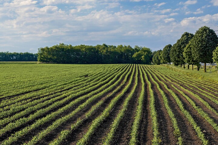 bsb vernetzungsprojekt leimental 04