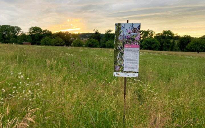 bsb vernetzungsprojekt leimental 06