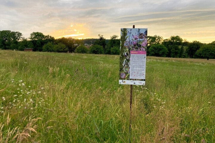 bsb vernetzungsprojekt leimental 06