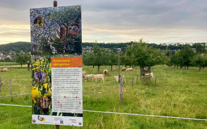 bsb vernetzungsprojekt leimental 07