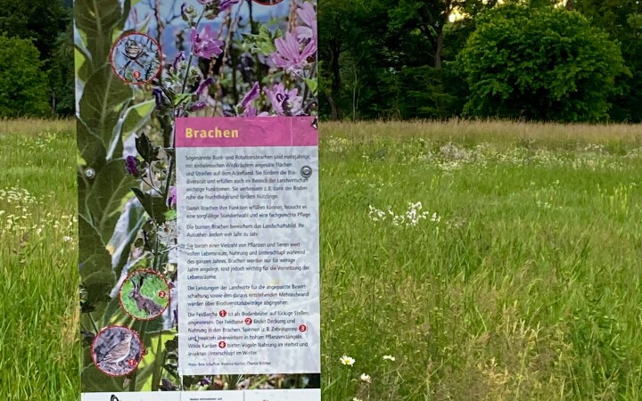 bsb vernetzungsprojekt leimental 08