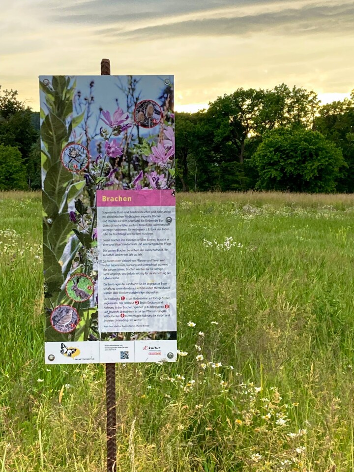 bsb vernetzungsprojekt leimental 08