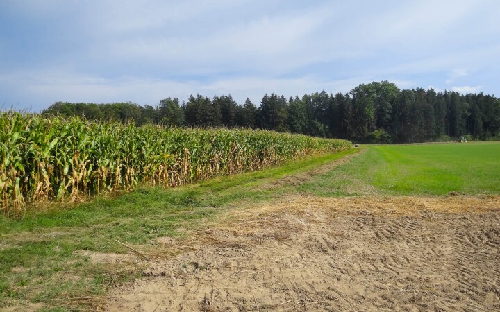 bsb mbs renat dorfbach lohn ammannsegg 01