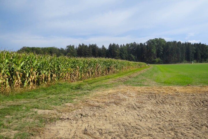 bsb mbs renat dorfbach lohn ammannsegg 01