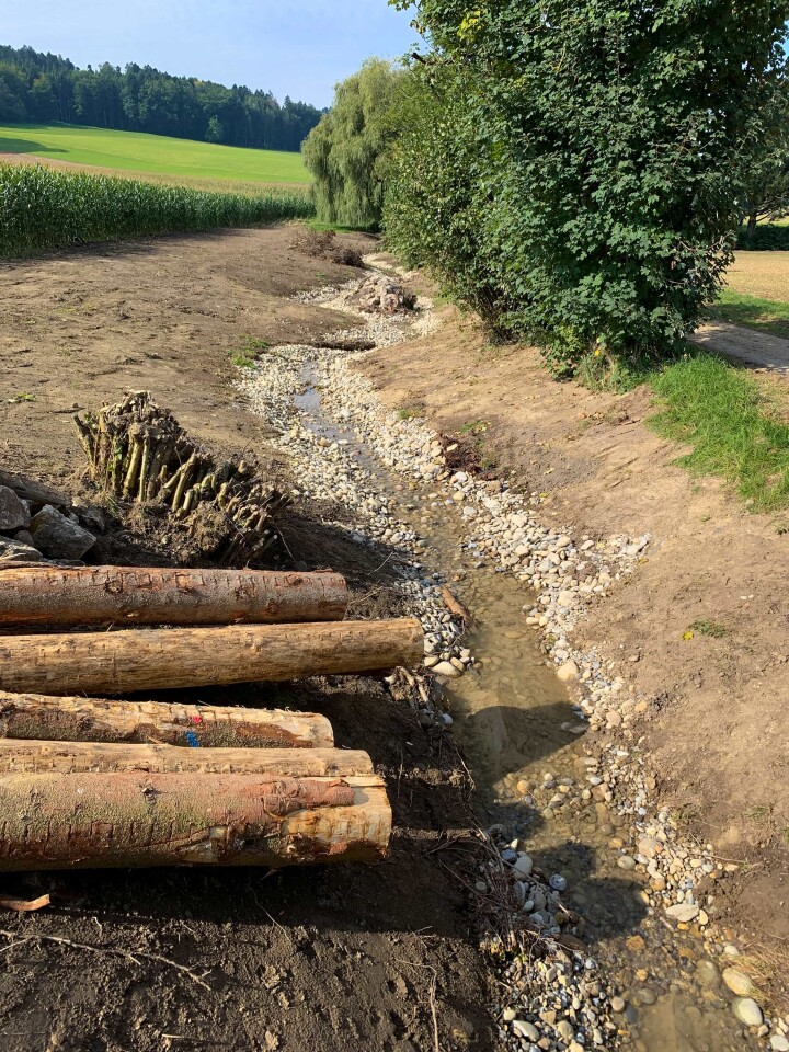 bsb mbs renat dorfbach lohn ammannsegg 02 1