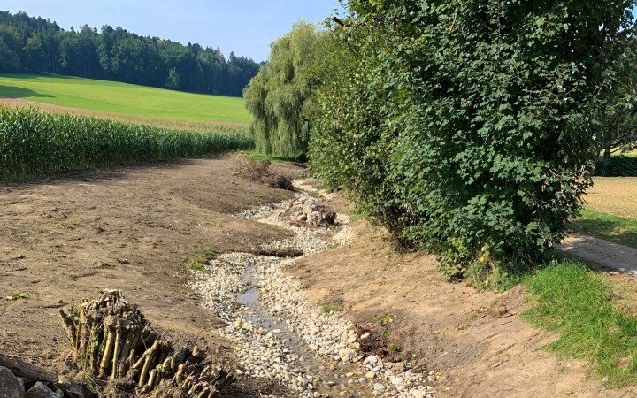 bsb mbs renat dorfbach lohn ammannsegg 02 2