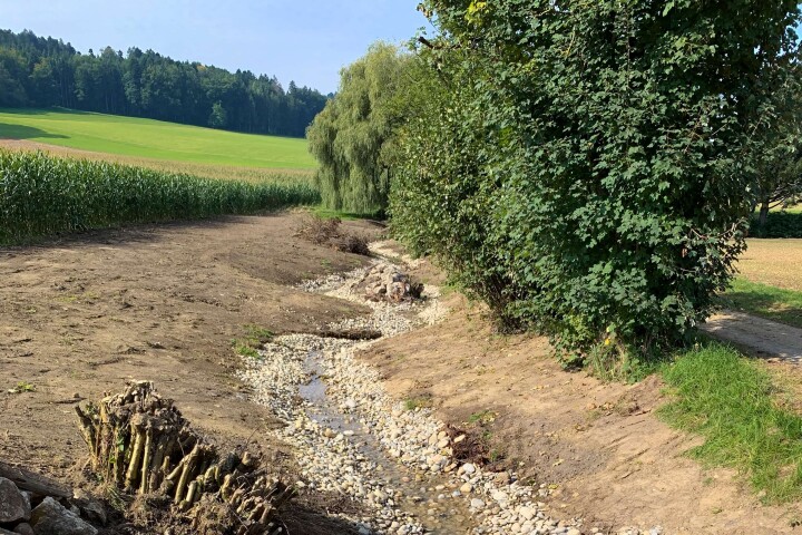 bsb mbs renat dorfbach lohn ammannsegg 02 2