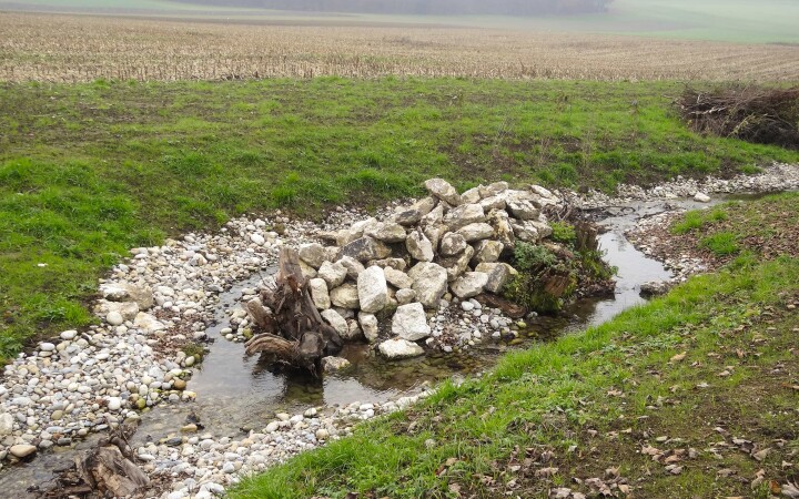 bsb mbs renat dorfbach lohn ammannsegg 04