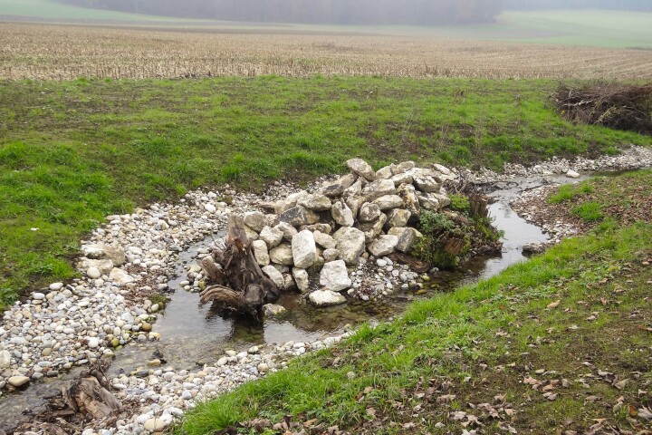 bsb mbs renat dorfbach lohn ammannsegg 04