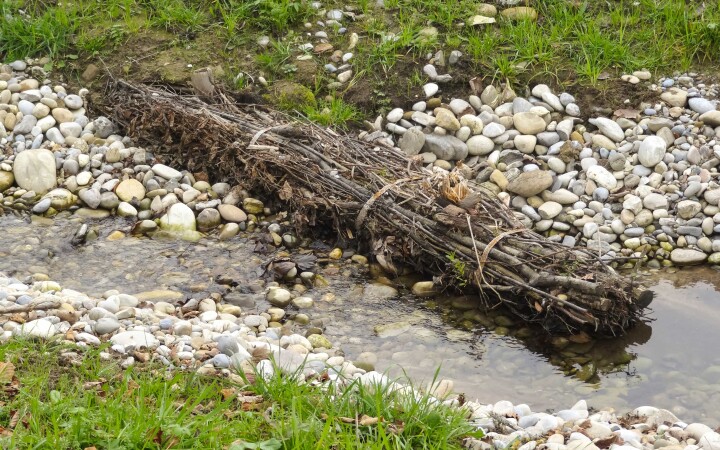 bsb mbs renat dorfbach lohn ammannsegg 05