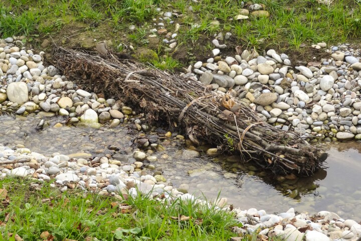 bsb mbs renat dorfbach lohn ammannsegg 05