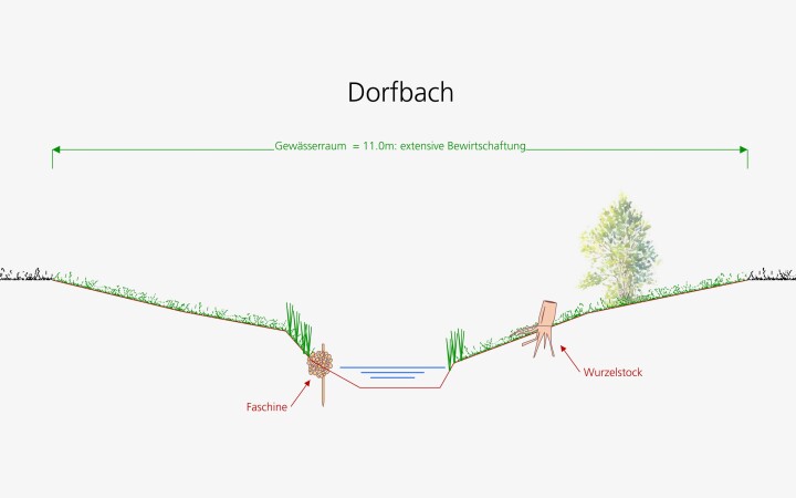bsb mbs renat dorfbach lohn ammannsegg 06