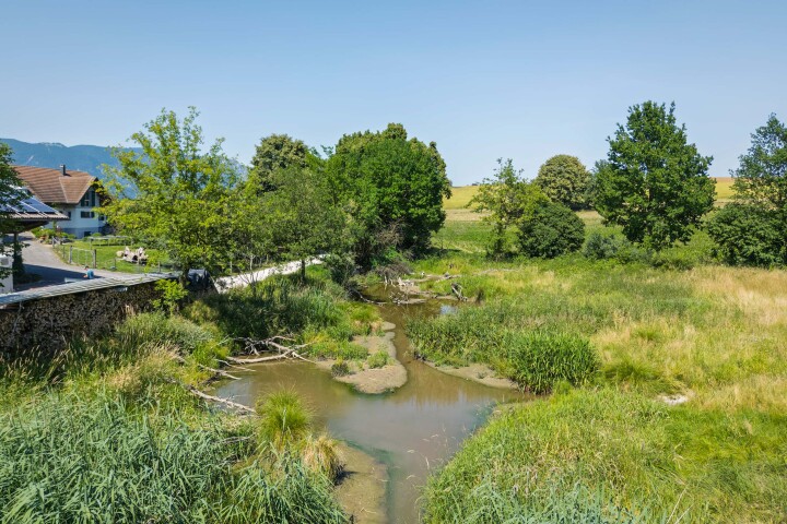 bsb projekt renat eimattbach luesslingen 02