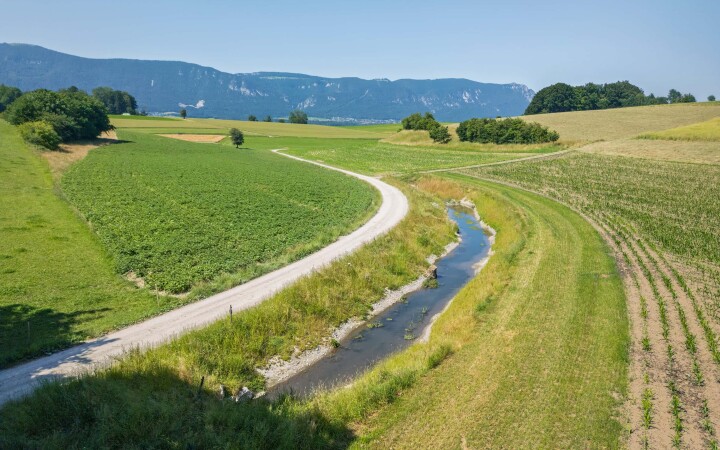 bsb projekt renat eimattbach luesslingen 03
