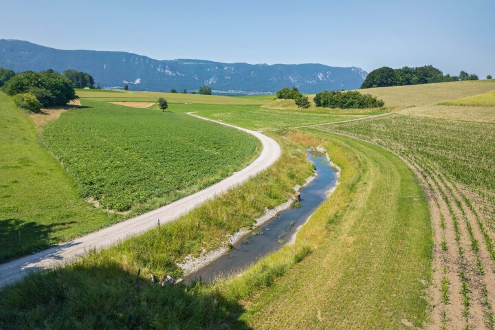 bsb projekt renat eimattbach luesslingen 03