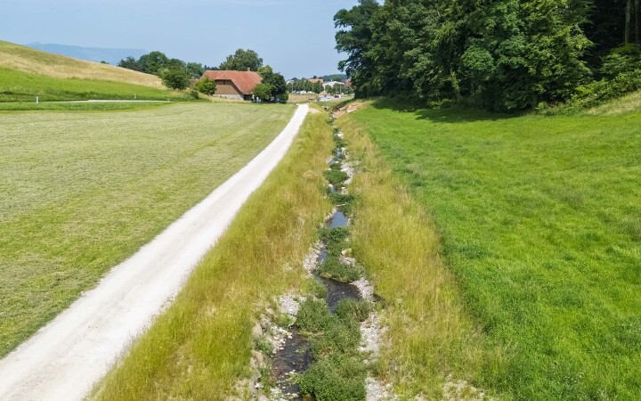 bsb projekt renat eimattbach luesslingen 05