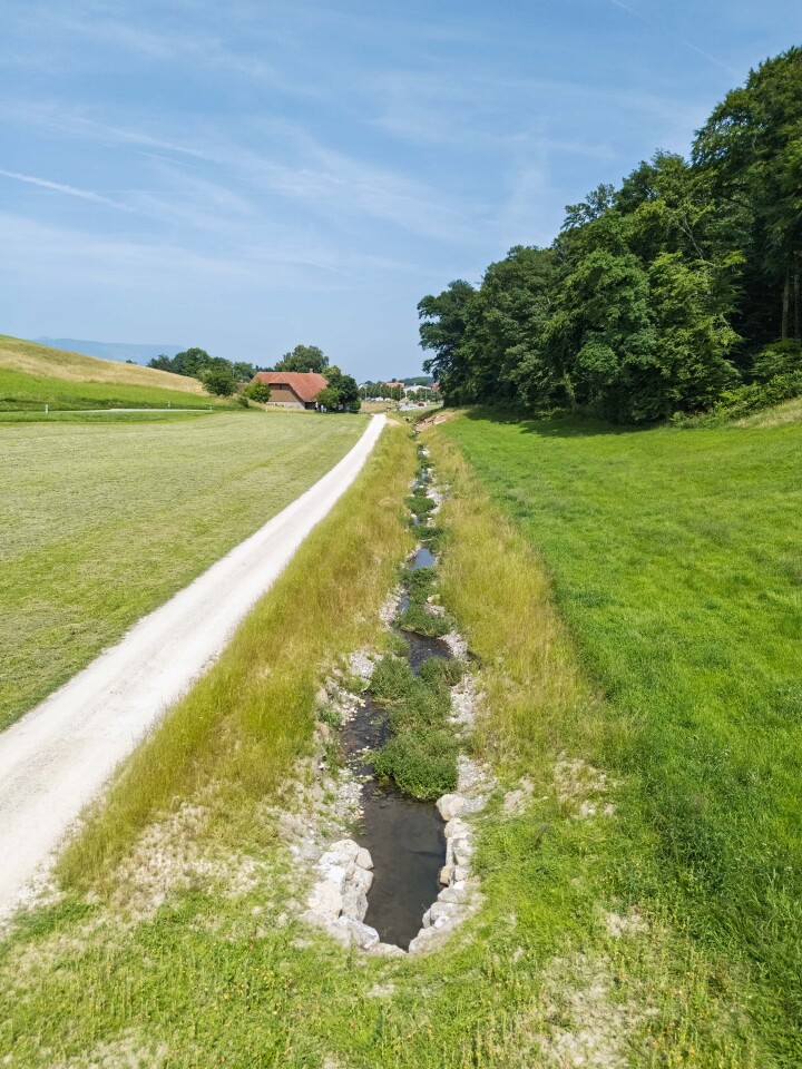 bsb projekt renat eimattbach luesslingen 05