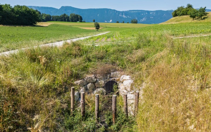bsb projekt renat eimattbach luesslingen 07
