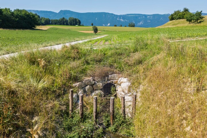 bsb projekt renat eimattbach luesslingen 07