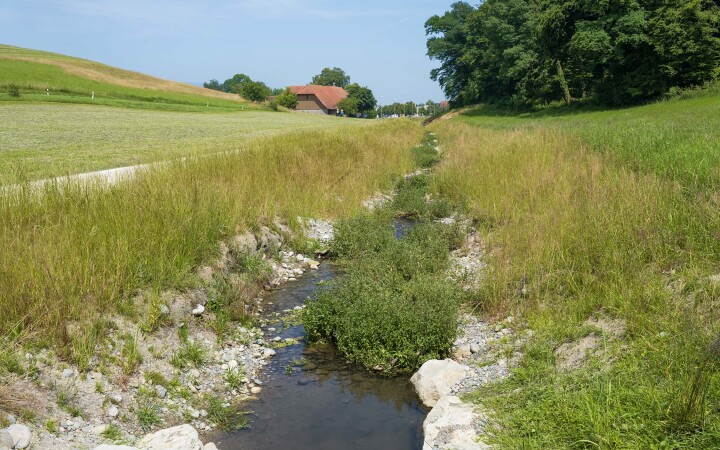 bsb projekt renat eimattbach luesslingen 09