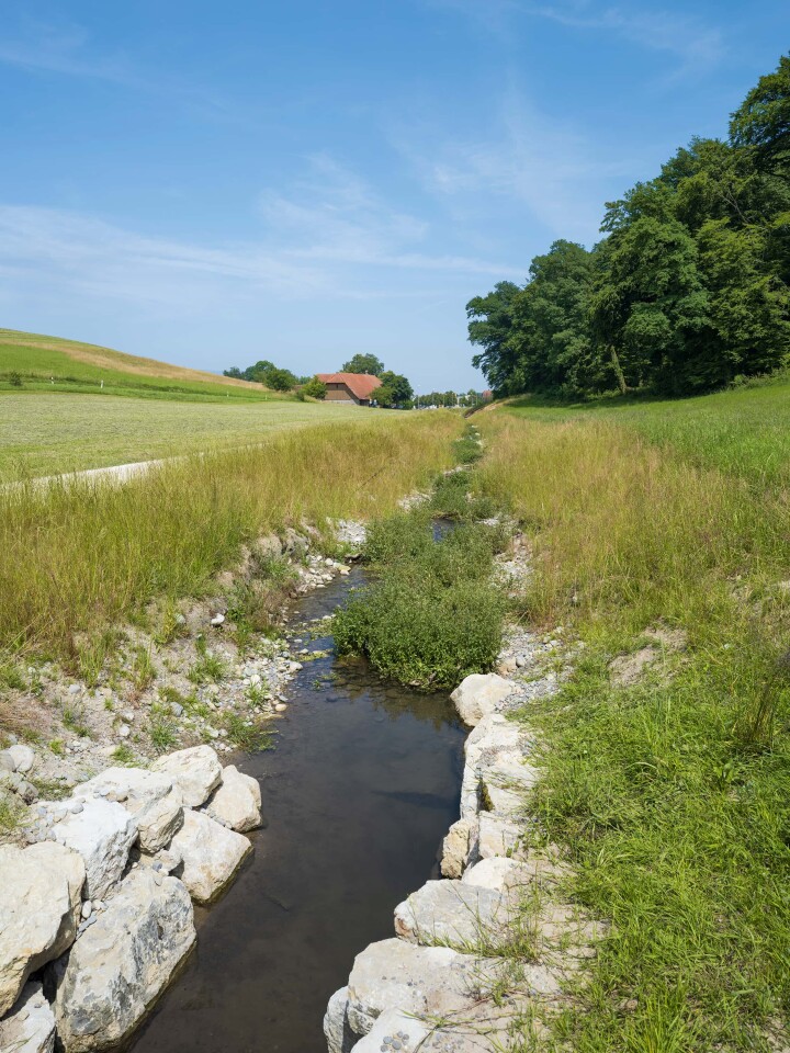 bsb projekt renat eimattbach luesslingen 09