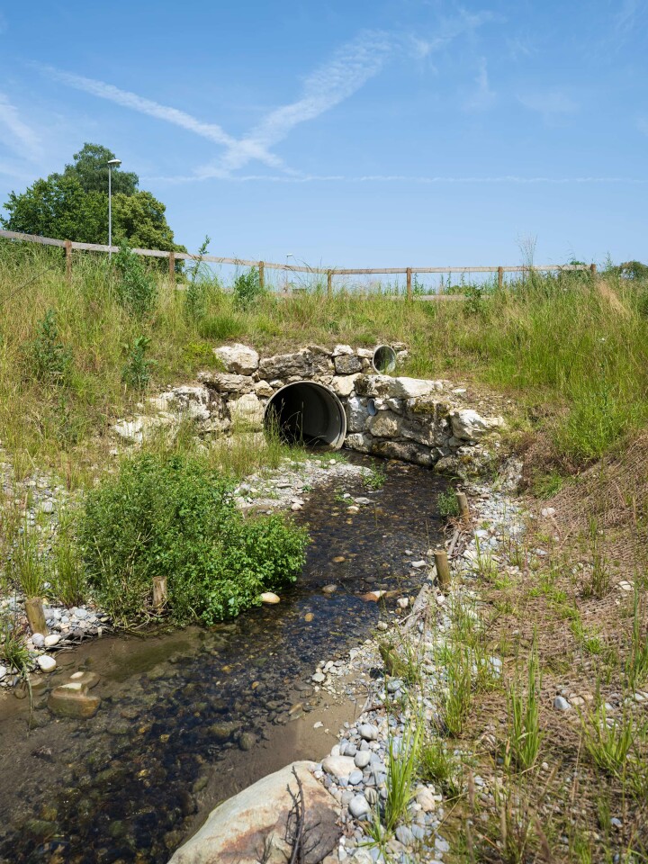 bsb projekt renat eimattbach luesslingen 12