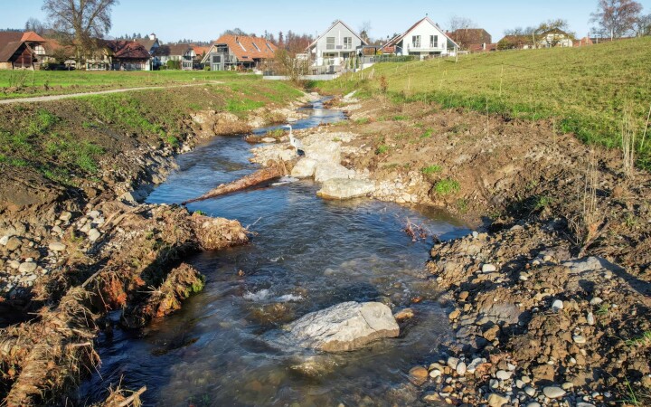 bsb revit biberenbach lueterkofen 04