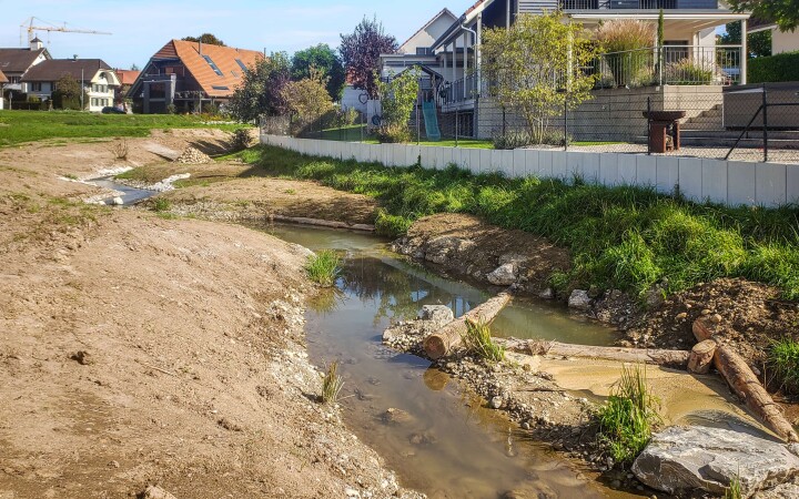 bsb revit biberenbach lueterkofen 06