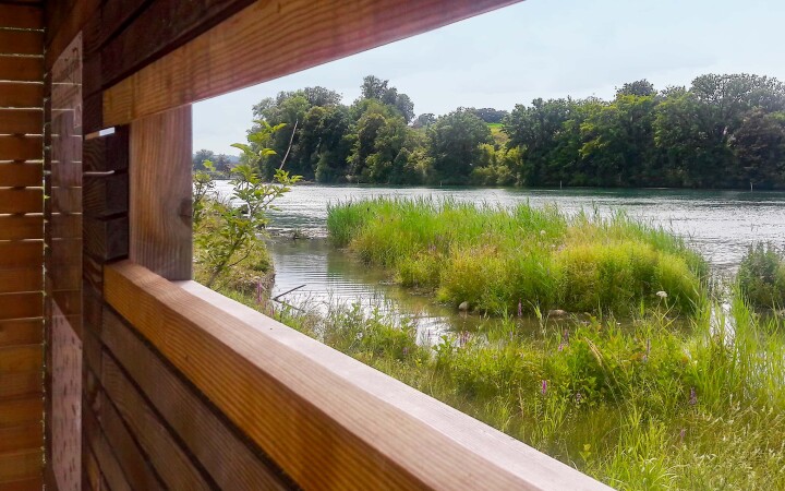 bsb revital aareufer luterbach 09