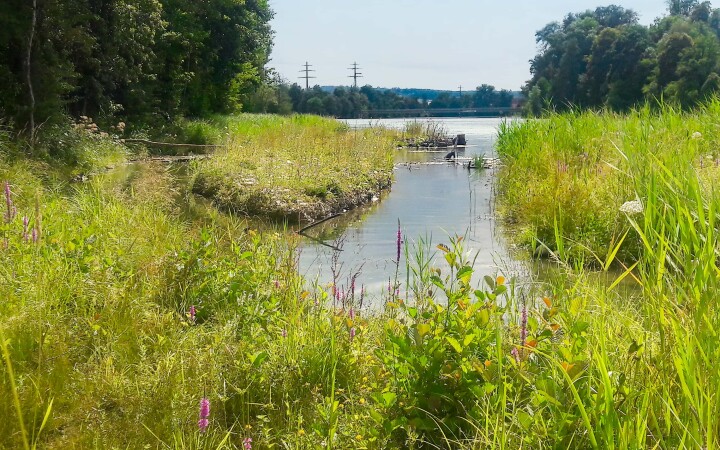 bsb revital aareufer luterbach 10