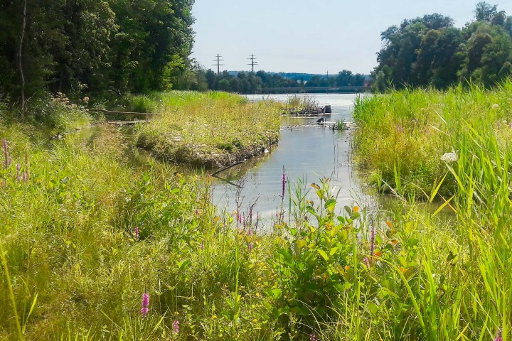 bsb revital aareufer luterbach 10