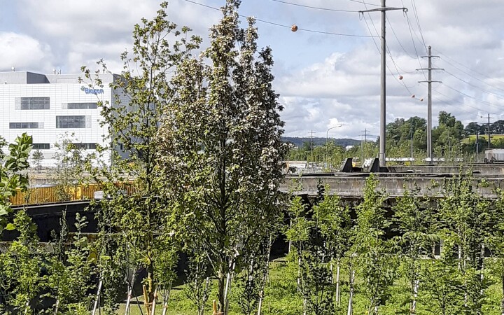 BSB Uferpark Attisholz Sued Luterbach 03