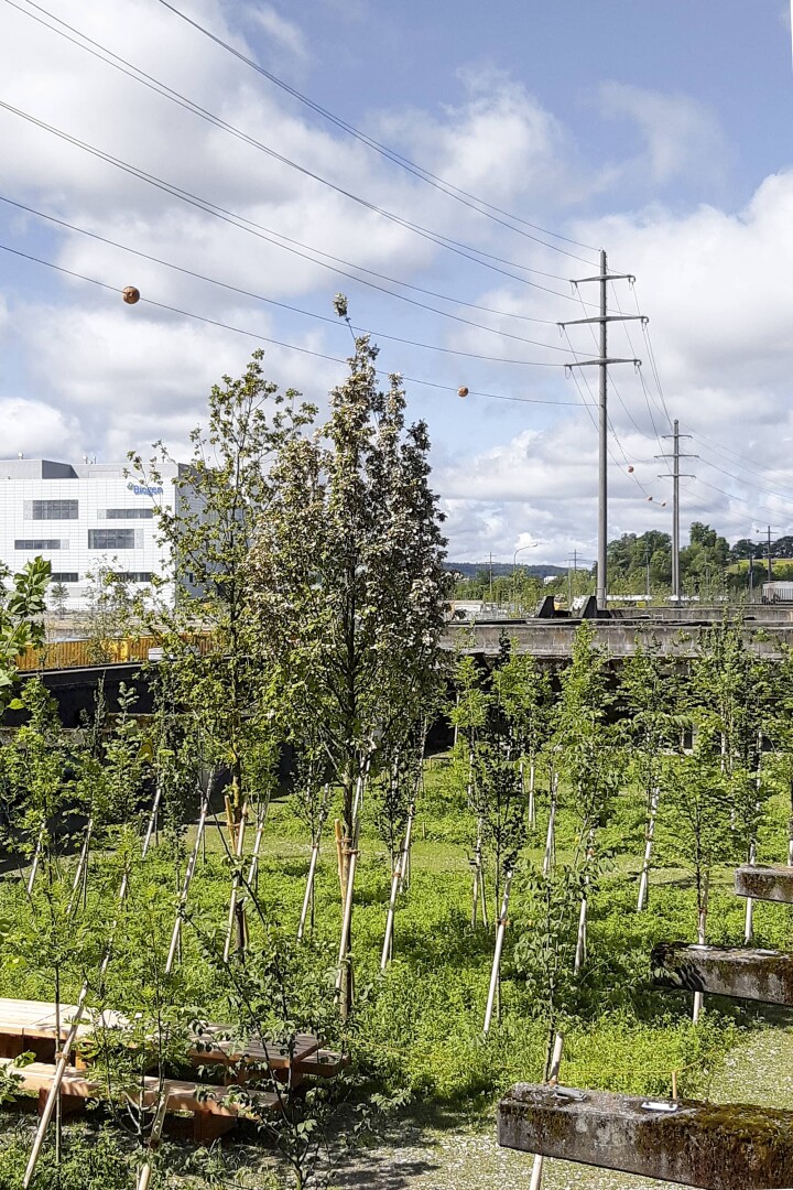 BSB Uferpark Attisholz Sued Luterbach 03