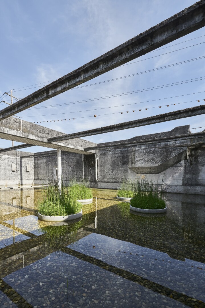 BSB Uferpark Attisholz Sued Luterbach 04