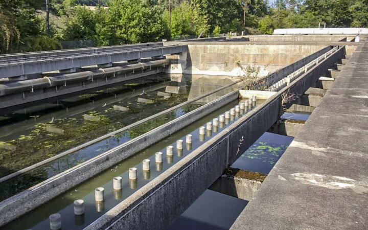 BSB Uferpark Attisholz Sued Luterbach 07