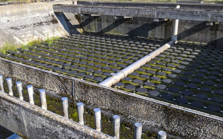 BSB Uferpark Attisholz Sued Luterbach 08