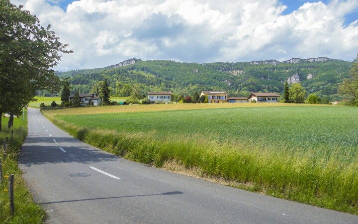 bsb opr leitbild riedholz 01