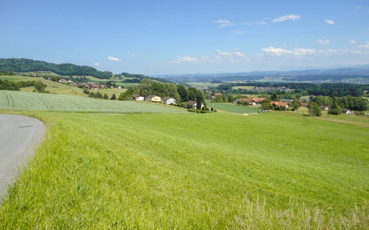 bsb opr leitbild riedholz 02