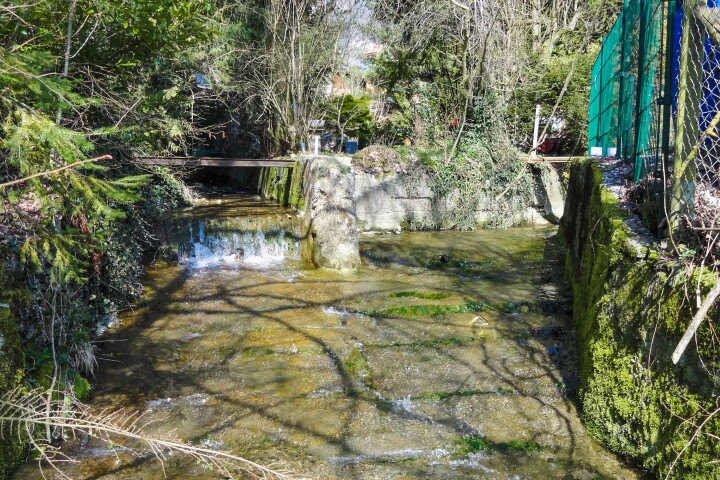 bsb revital chesselbach ruettenen 01