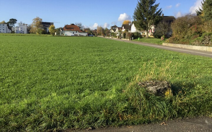 bsb qualitaetsverfahren selzach 07