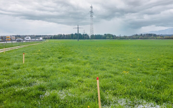 bsb kompensation fruchtfolgeflaechen 02