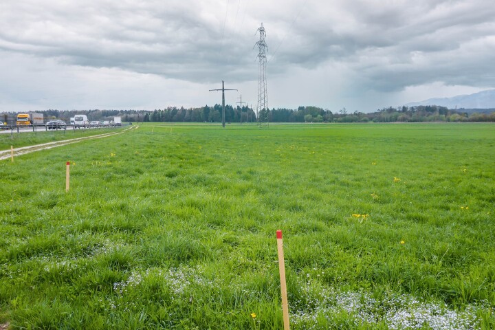 bsb kompensation fruchtfolgeflaechen 02