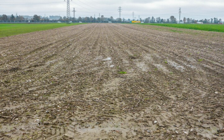 bsb kompensation fruchtfolgeflaechen 03