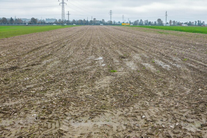 bsb kompensation fruchtfolgeflaechen 03